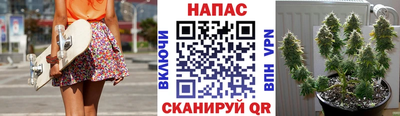 Наркошоп купить Амфетамин  Галлюциногенные грибы  A-PVP  ЭКСТАЗИ  МЕФ  Тбилисская