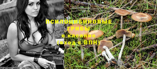 мескалин Карпинск
